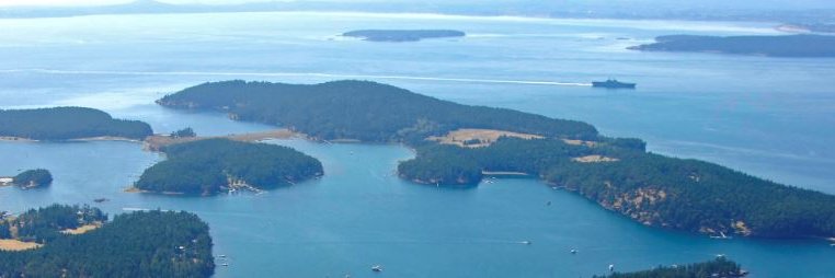 Steve Sandmeyer banner