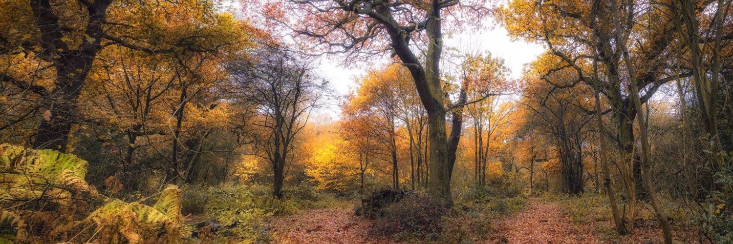 Alvecote Wood banner