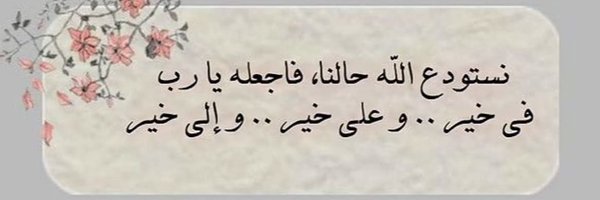 sazs8 Profile Banner