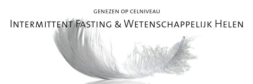Mabelvddungen's profile banner image