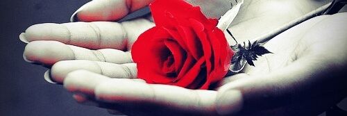 DebraDeice's profile banner image