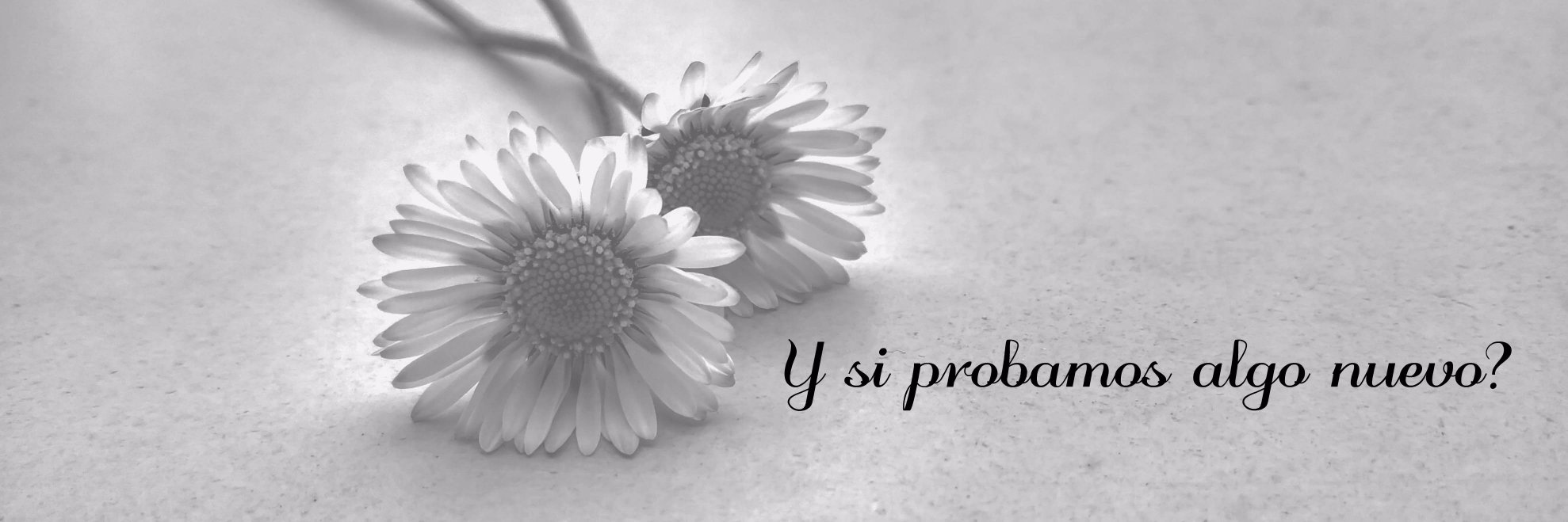 Mariaje_Piris06's profile banner image