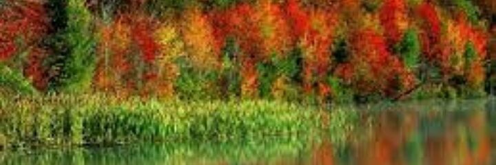 mrdn35's profile banner image