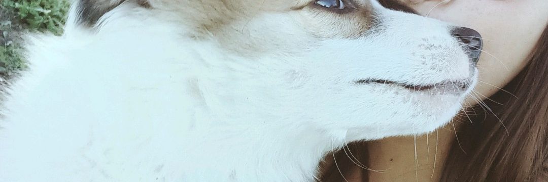 sireteves_'s profile banner image