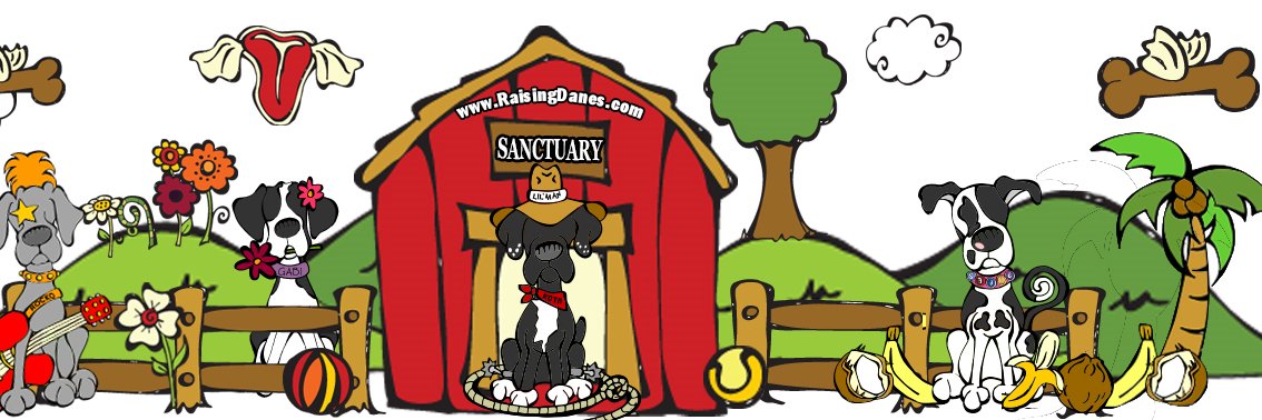 RaisingDanes's profile banner image