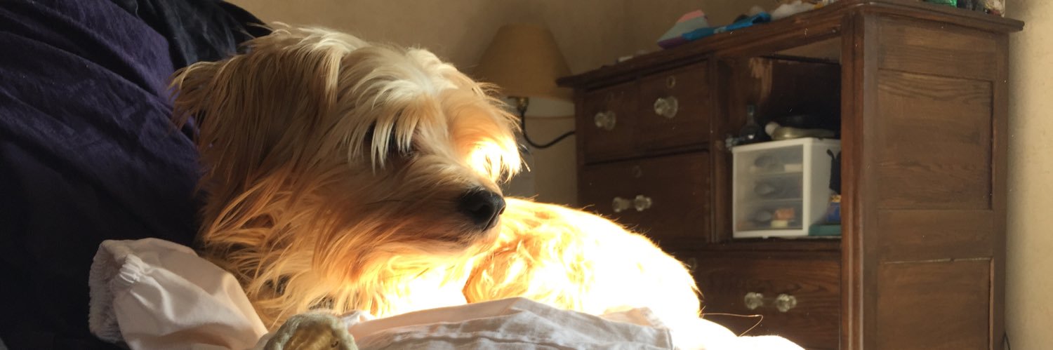 yuzer_name's profile banner image