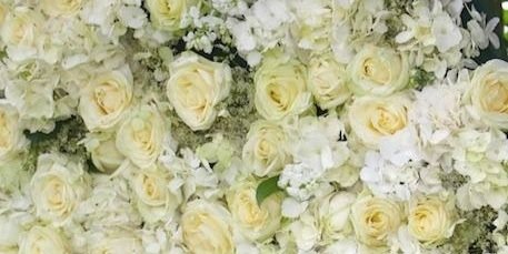 millersflorist's profile banner image