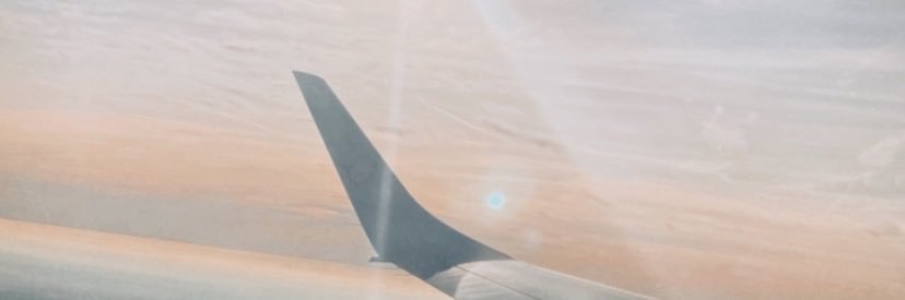 elisecoene's profile banner image