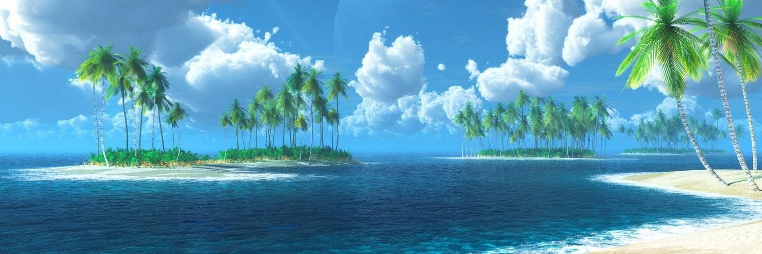 PalominaVenable's profile banner image