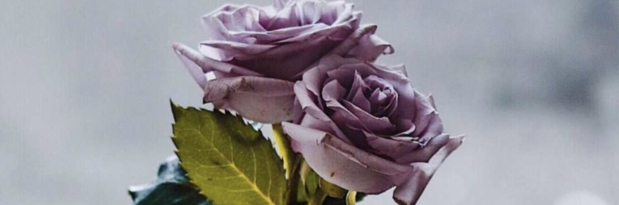 assa1166's profile banner image