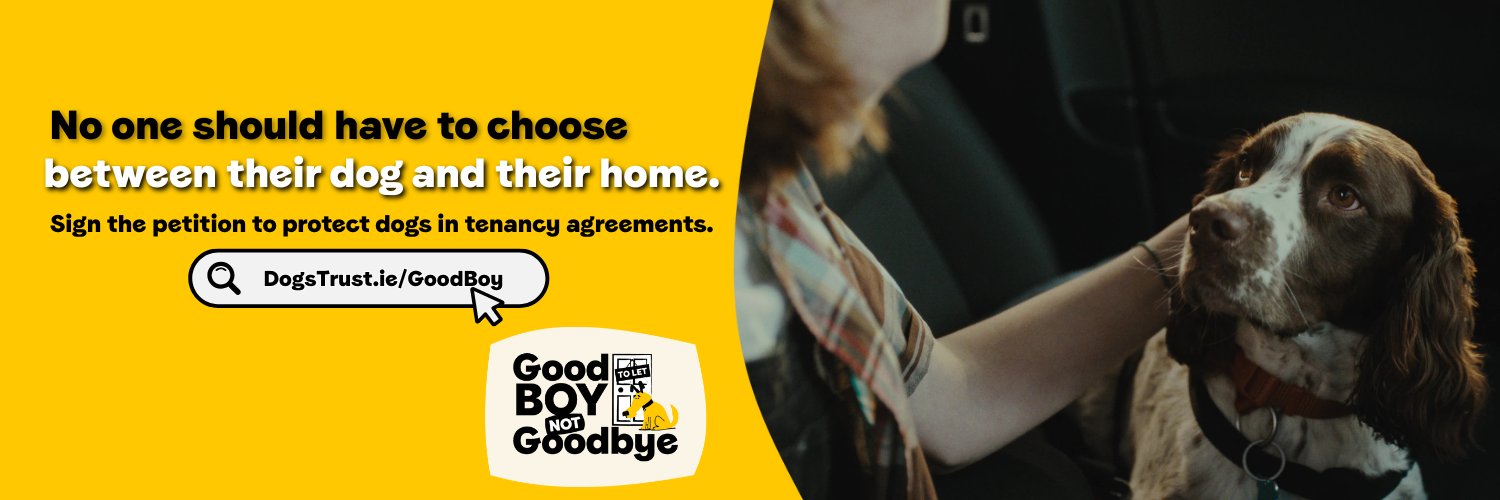 Dogs Trust Ireland's banner