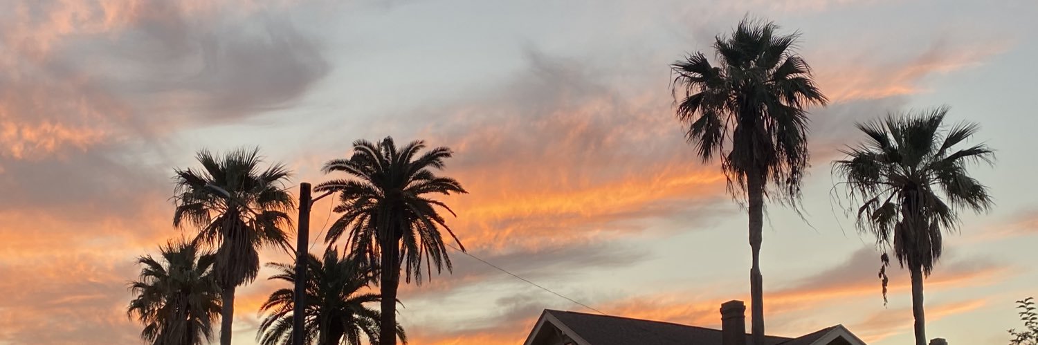 el interprete banner