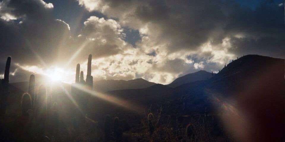 katyycook's profile banner image