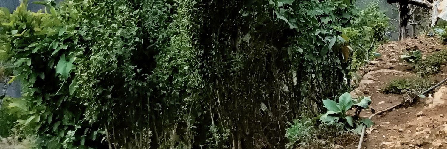 lblalit84's profile banner image