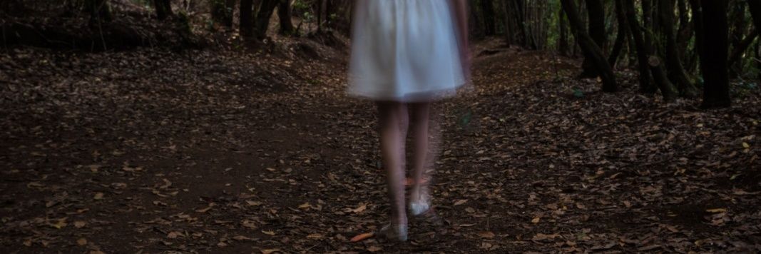 Javier Gimeno banner