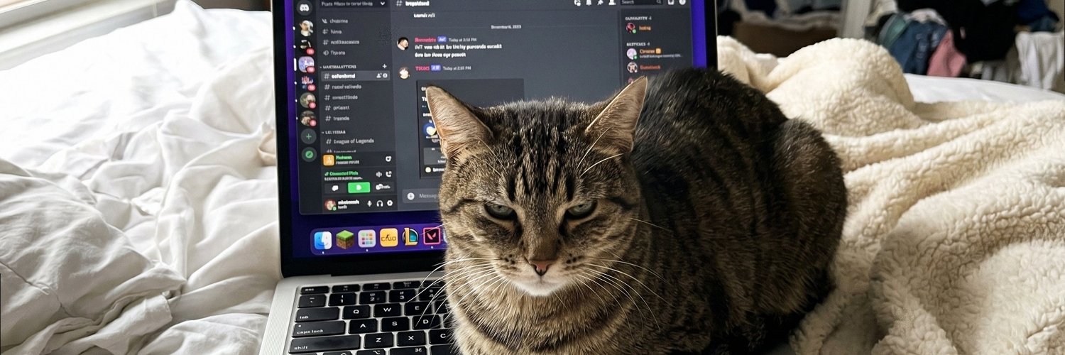 strondooo's profile banner image
