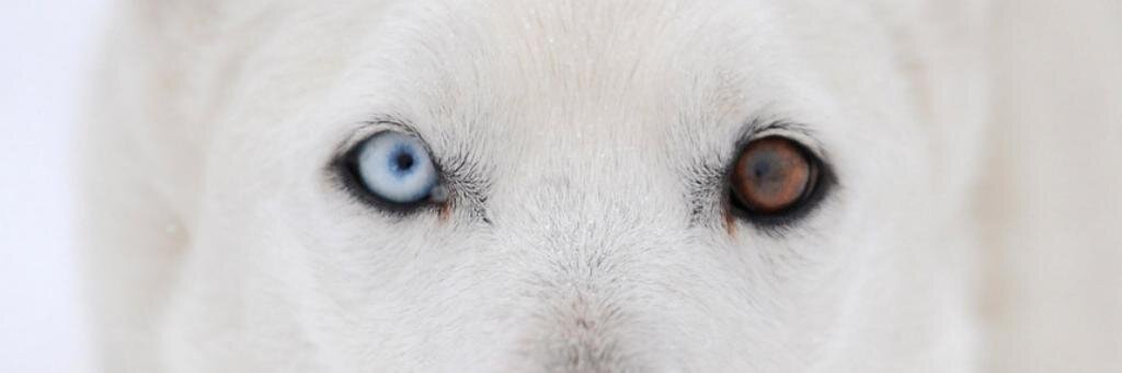 mellidimarco's profile banner image