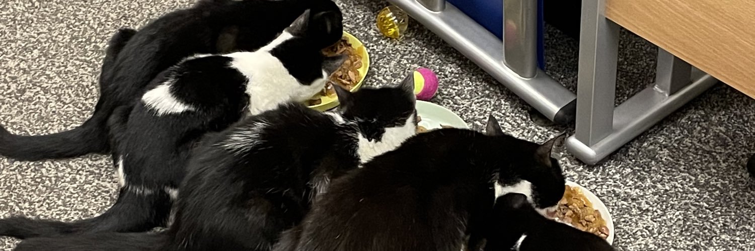 Julia Townend banner