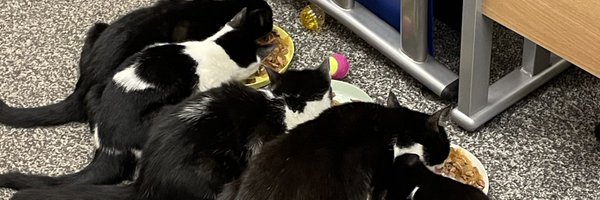 JT_Makeup Profile Banner