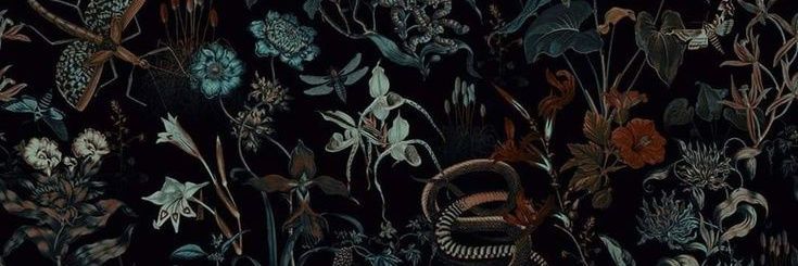tassiturna's profile banner image
