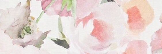stephmarieb's profile banner image