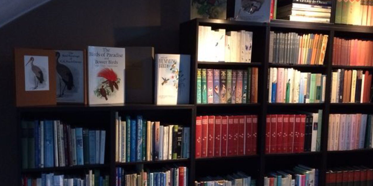 BirdBooksChat's profile banner image