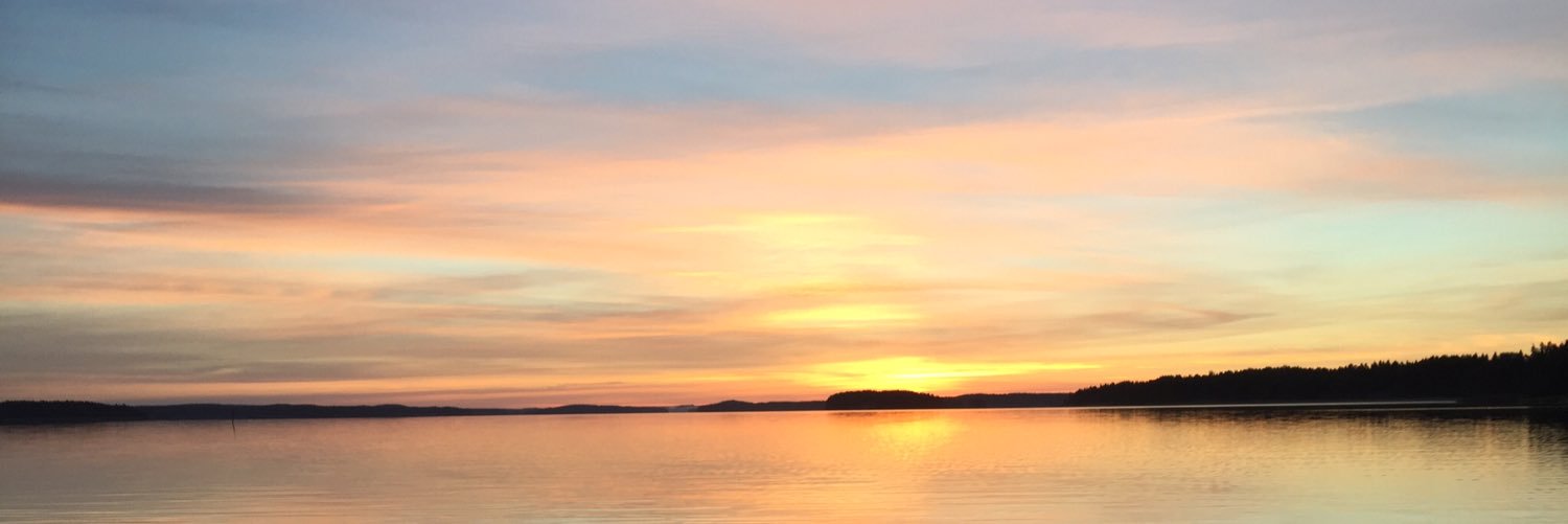 mjeriksson's profile banner image