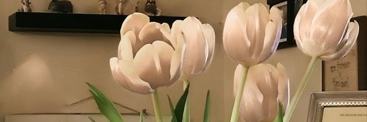 pxissy's profile banner image