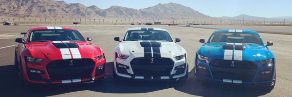 Roadfly Profile Banner