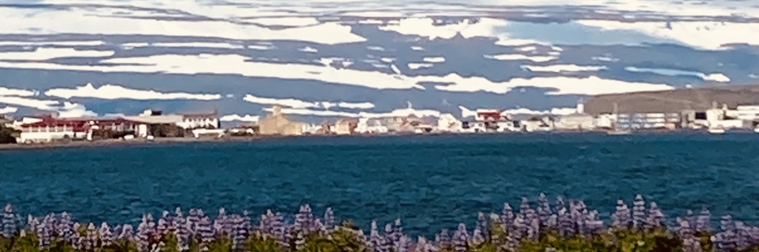 Frederique Maillard-Laudisa banner