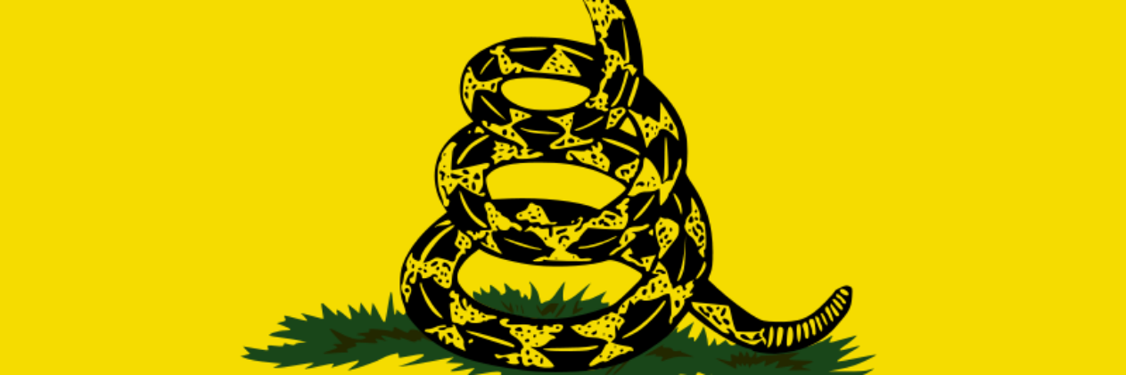 CtFIREARM's profile banner image