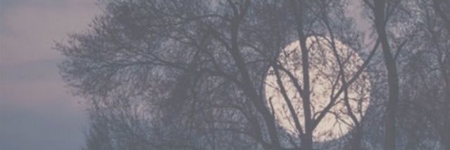 _tylaawyla's profile banner image