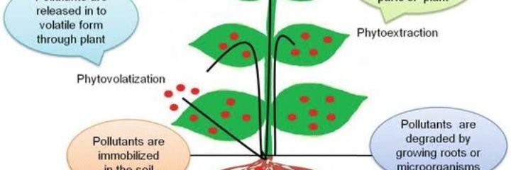 Anirccmb's profile banner image