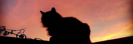 Veronika_PC's profile banner image