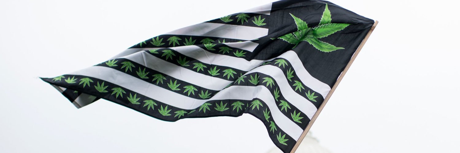 Cannibis Fact banner