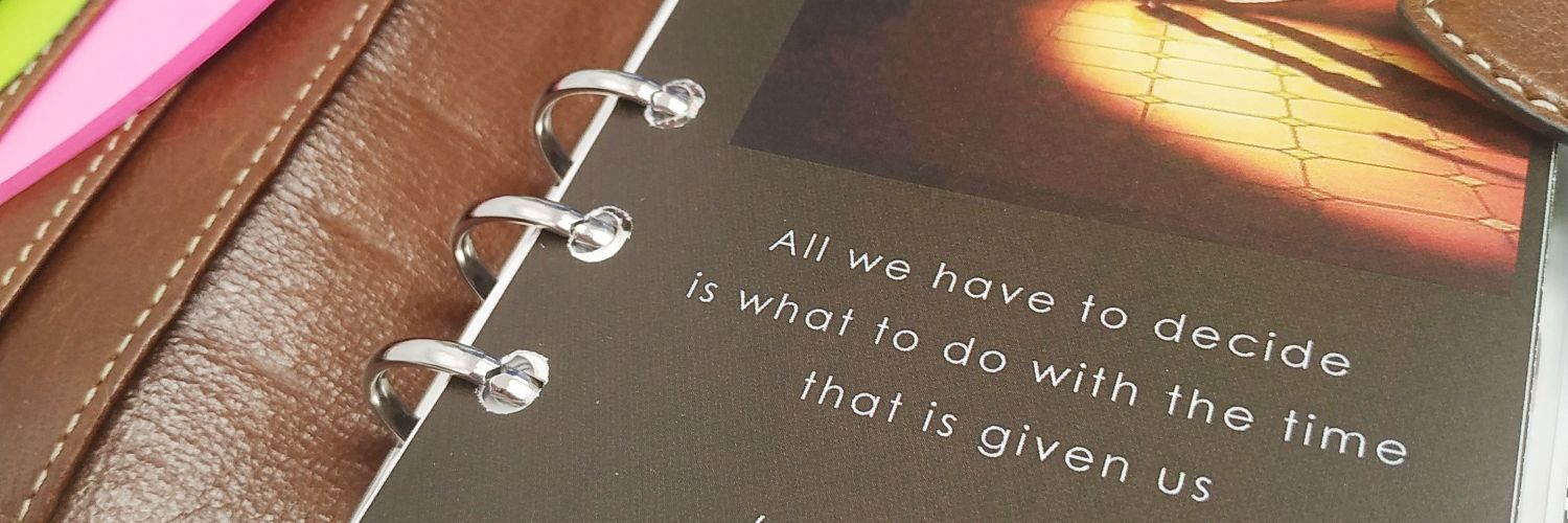 Teresa Pueyo-Toquero banner