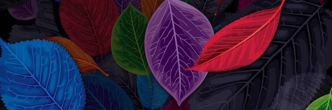 jennarvf's profile banner image