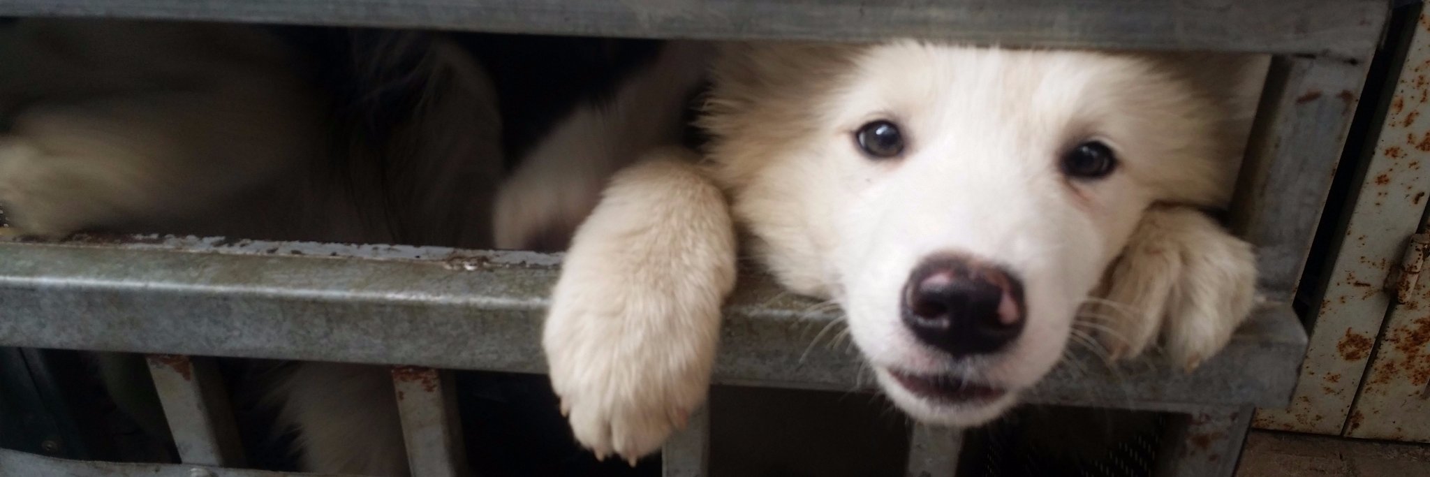 tuhodong's profile banner image