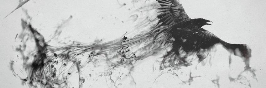 zoizit's profile banner image