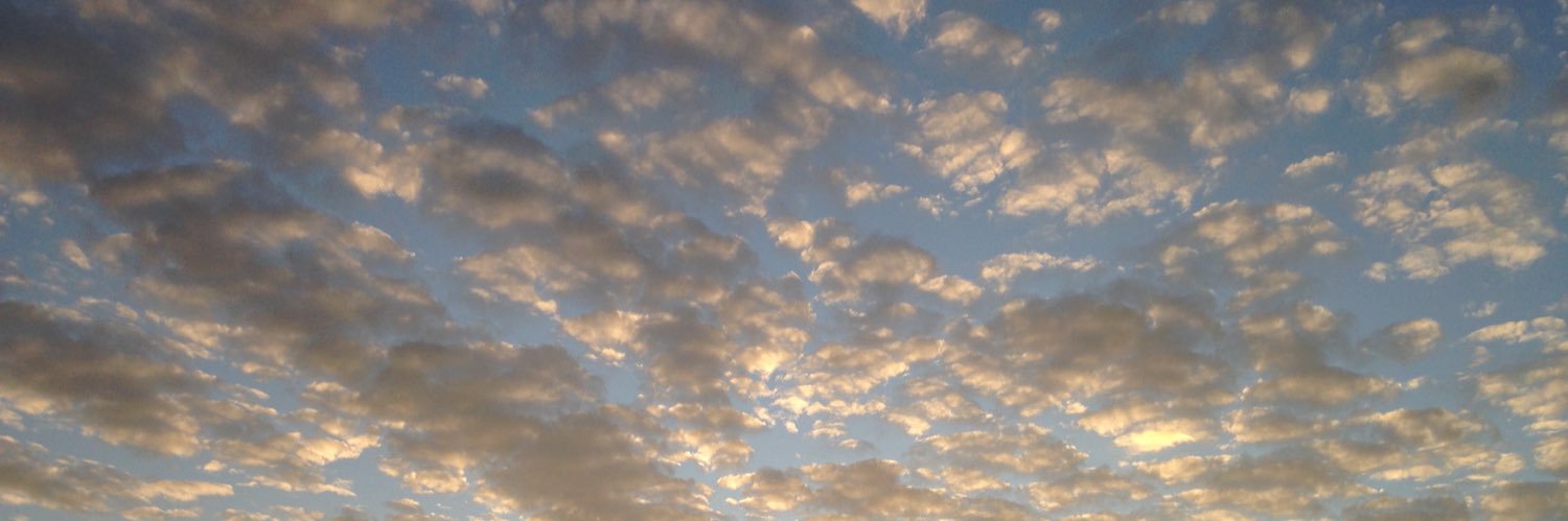 Maria Izabel Araujo banner