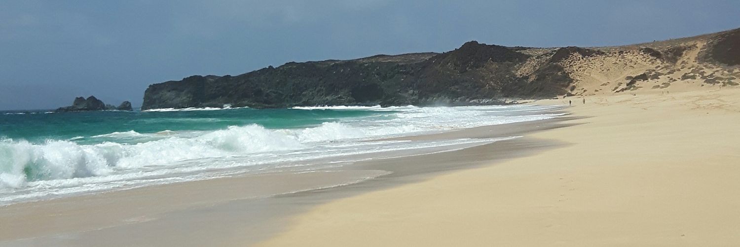 malvsua's profile banner image