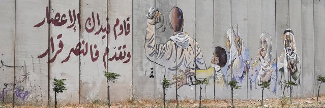 فاطمة طقو banner