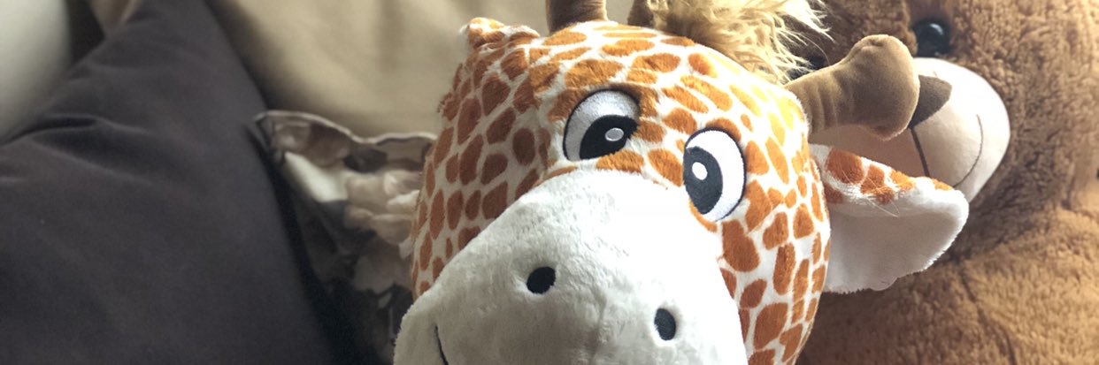 Sofiamll's profile banner image