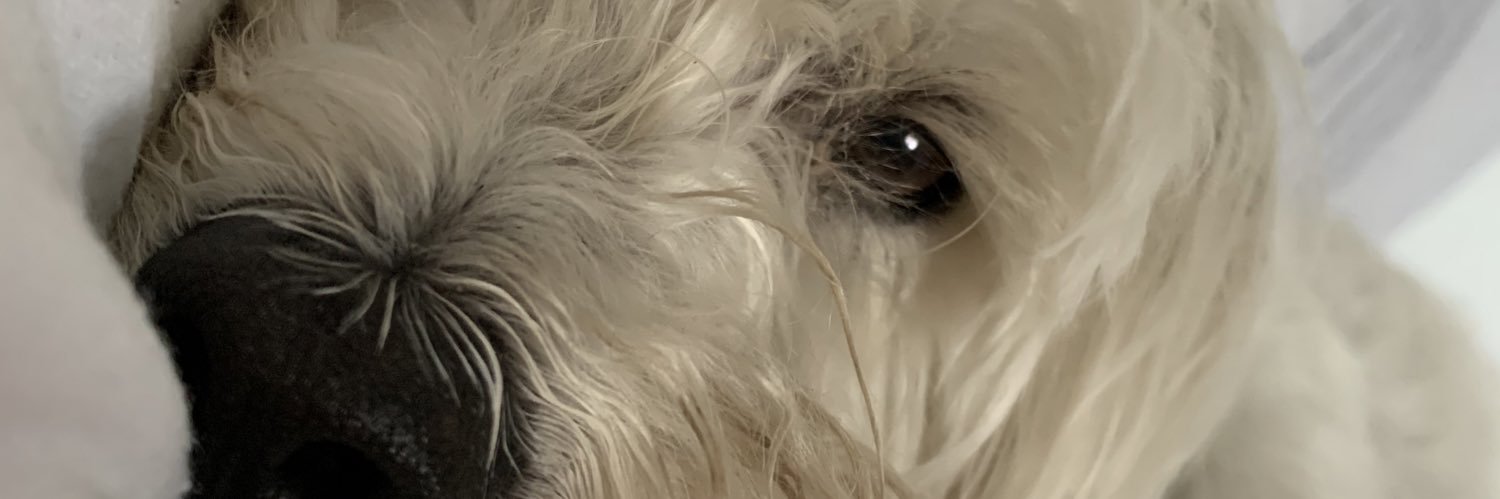_bethdowling's profile banner image