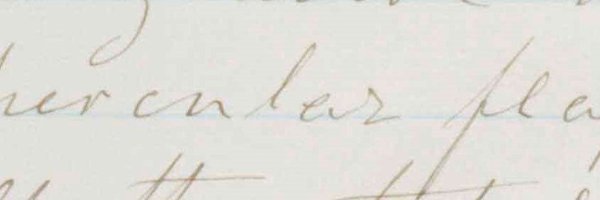 lisacardy Profile Banner