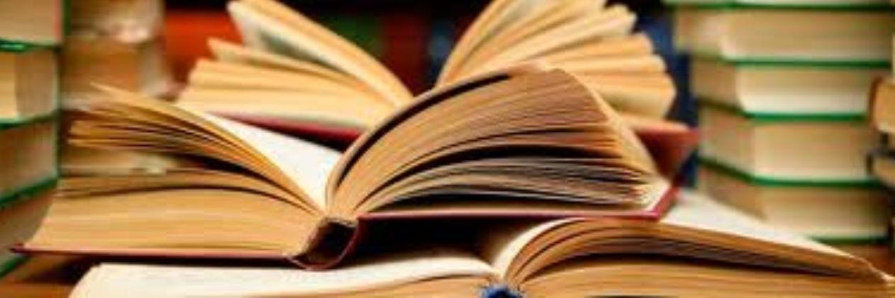LitAddict_Meg's profile banner image