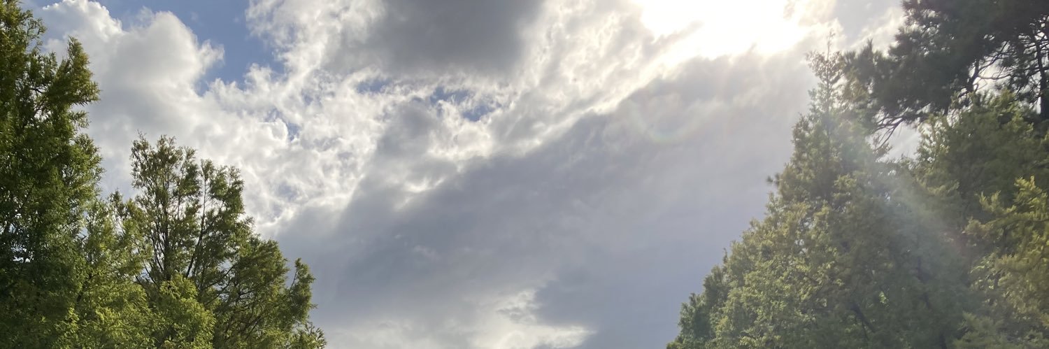 KisaragiWan's profile banner image