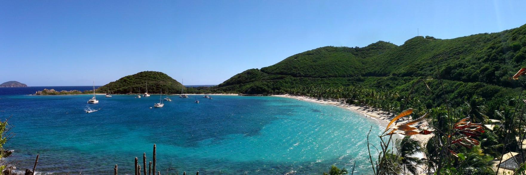 Curt Dieterle banner