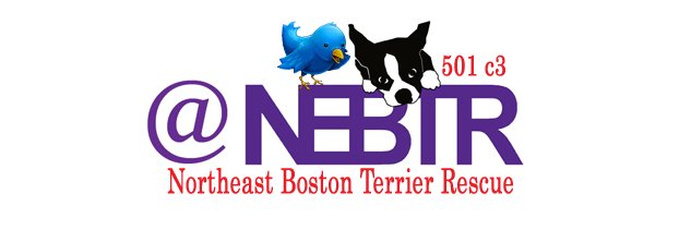 NEBTR's profile banner image