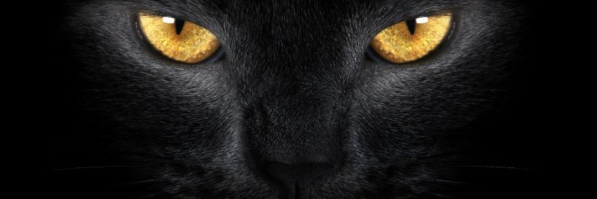 Marcel Gerstel banner